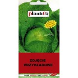 KAPUSTA SZARADA P&Oacute;ŹNA 10G