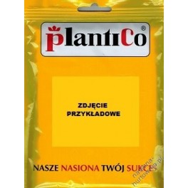 OG&Oacute;REK ŚREMSKI 100G