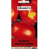 POMIDOR PORANEK 10G