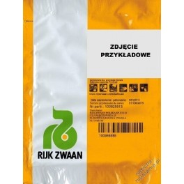 SAŁATA JAMAI OTOCZKA 5000N