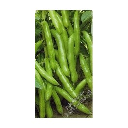 B&Oacute;B TOPBOB 5KG