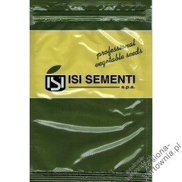 CEBULA BIAŁA VENUS 500G
