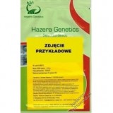 RZODKIEWKA MELITO F1 25 000N