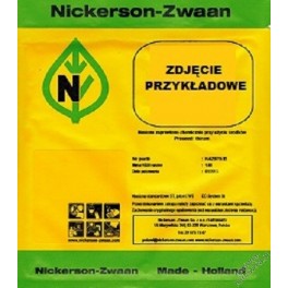 CEBULA CZERWONA RETANO PR. 250 000N