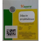 SAŁATA MASŁOWA GRUNTOWA SUNSTAR 5G (NASIONA PRECYZYJNE)