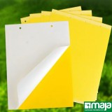 Biodegradowalna tablica lepowa - żółta - mączlik szklarniowy (biała mucha) - 20 x 25 cm