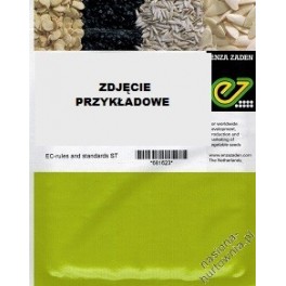 RZODKIEWKA CELESTA 2,50-2,75 50 000N