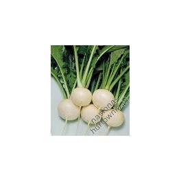 RZEPA BIAŁA MARKET EXPRESS 50G